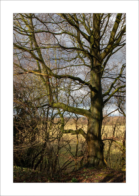  - Southwell Trail in Winter