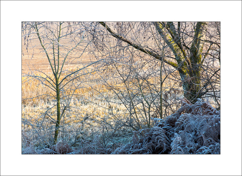  - Southwell Trail in Winter