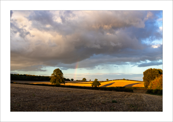  - Photography Review 2025