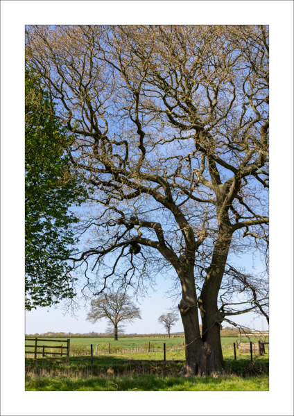  - Photography Review 2025