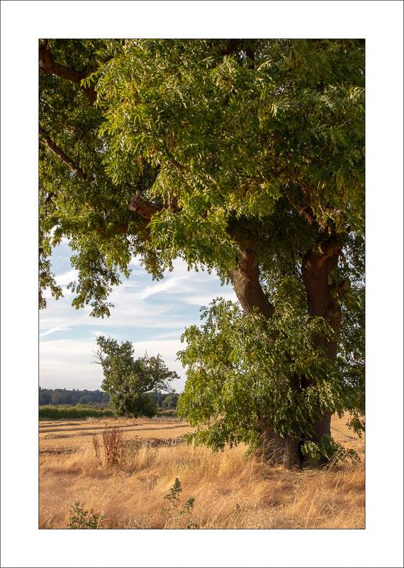  - Southwell Trail in Spring and Summer