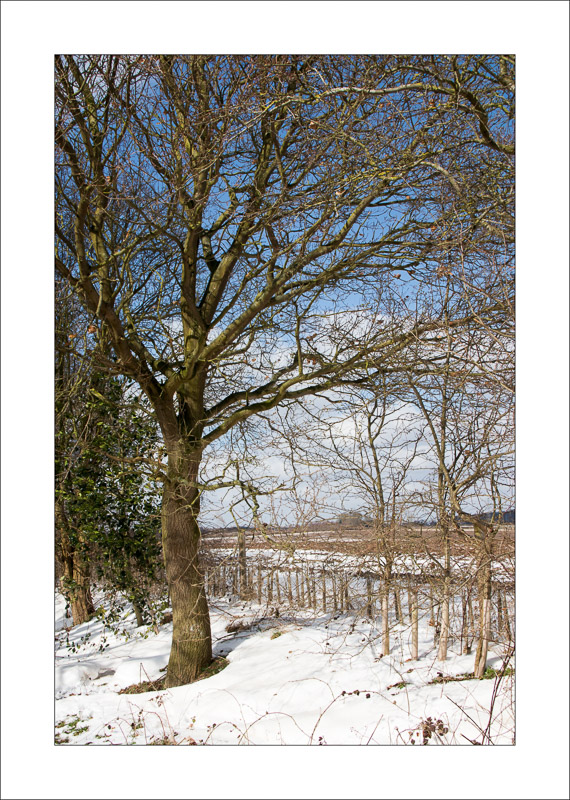  - Southwell Trail in Winter