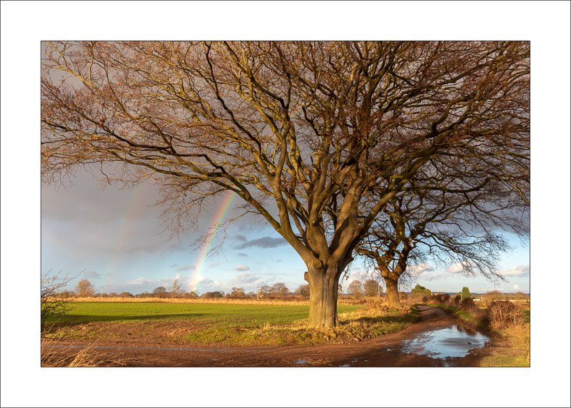  - Farnsfield