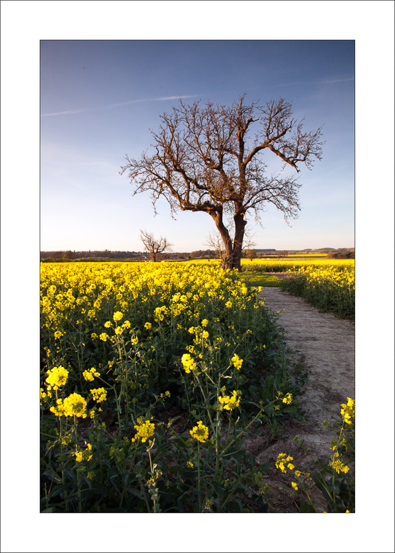  - Southwell Trail in Spring and Summer