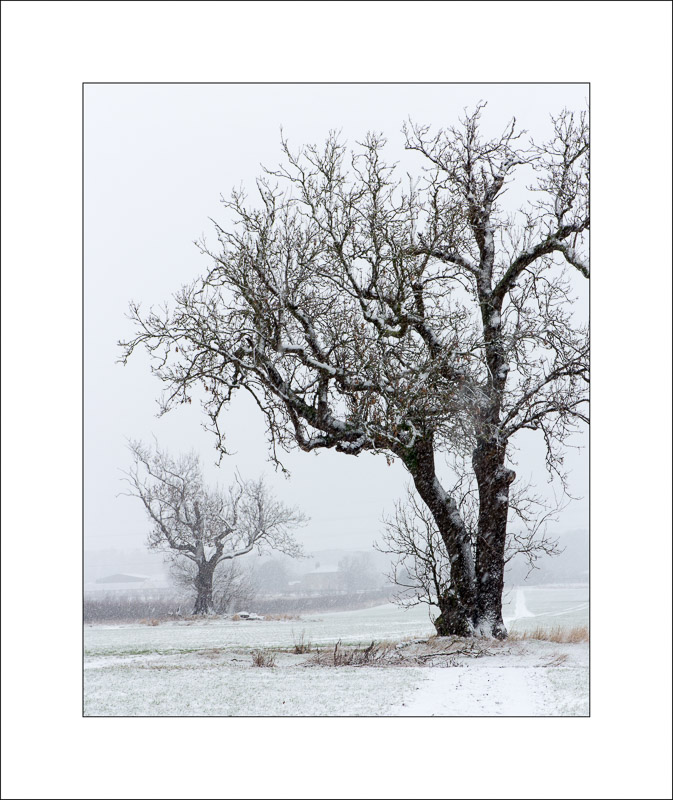  - Southwell Trail in Winter