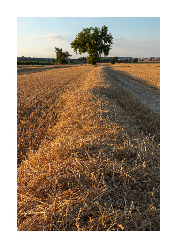  - Southwell Trail in Spring and Summer