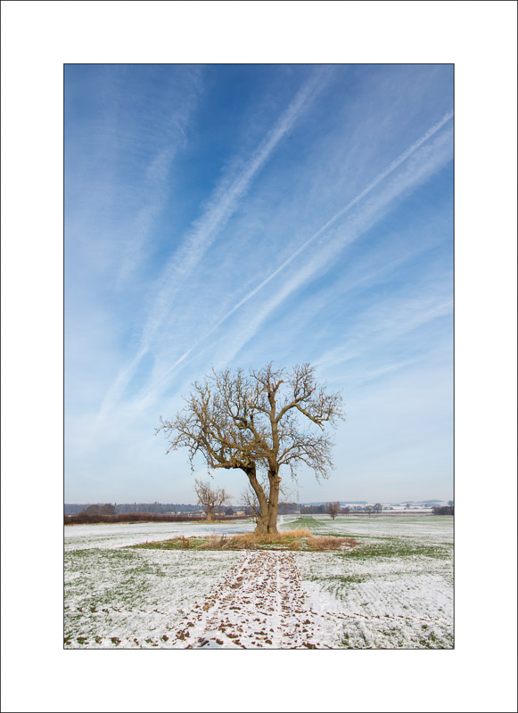 - Southwell Trail in Winter