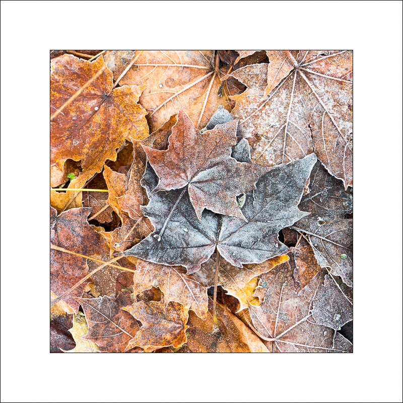  - Southwell Trail in Winter