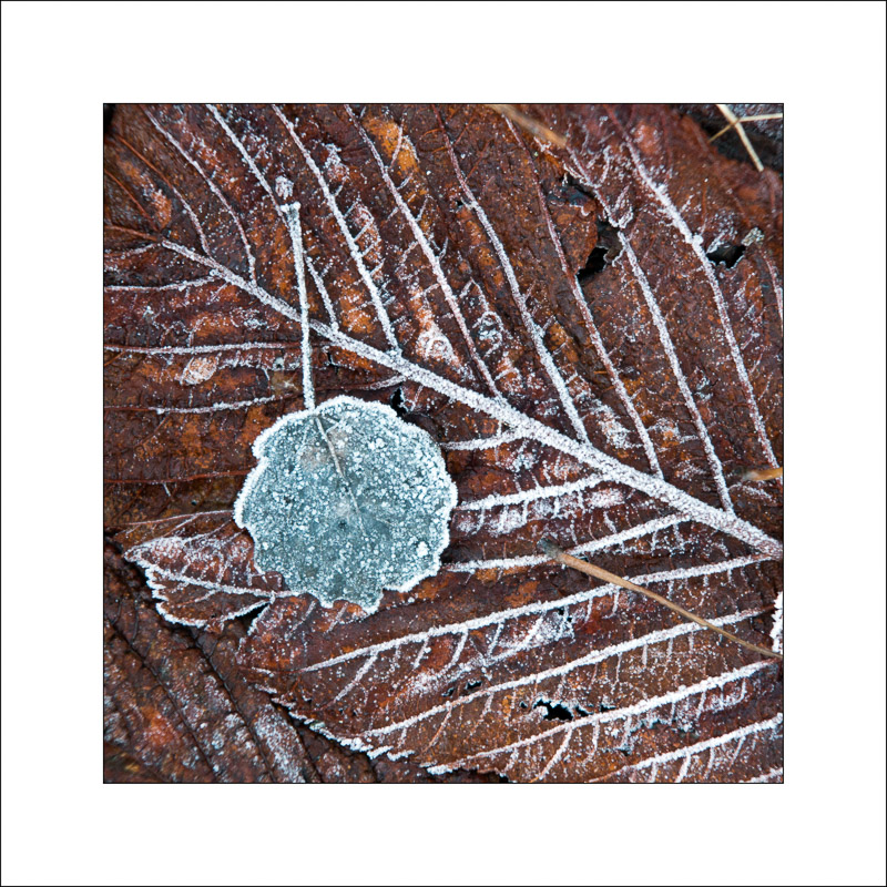  - Southwell Trail in Winter