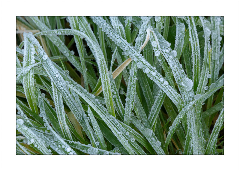  - Southwell Trail in Winter