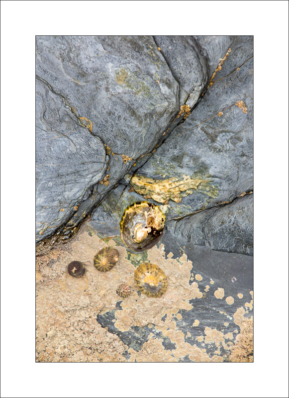  - Rock Studies - Cornwall 2
