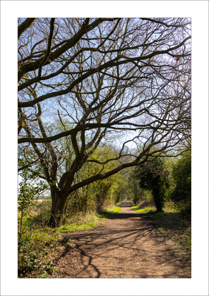  - Photography Review 2025