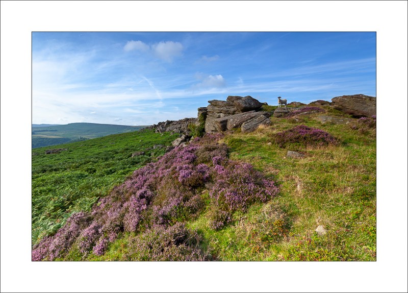 Carhead Rocks - Peak District Landscapes