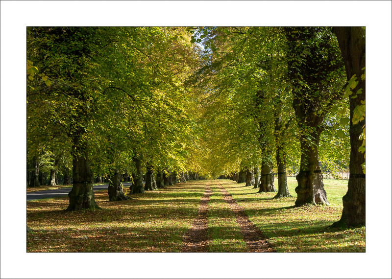  - Clumber Park