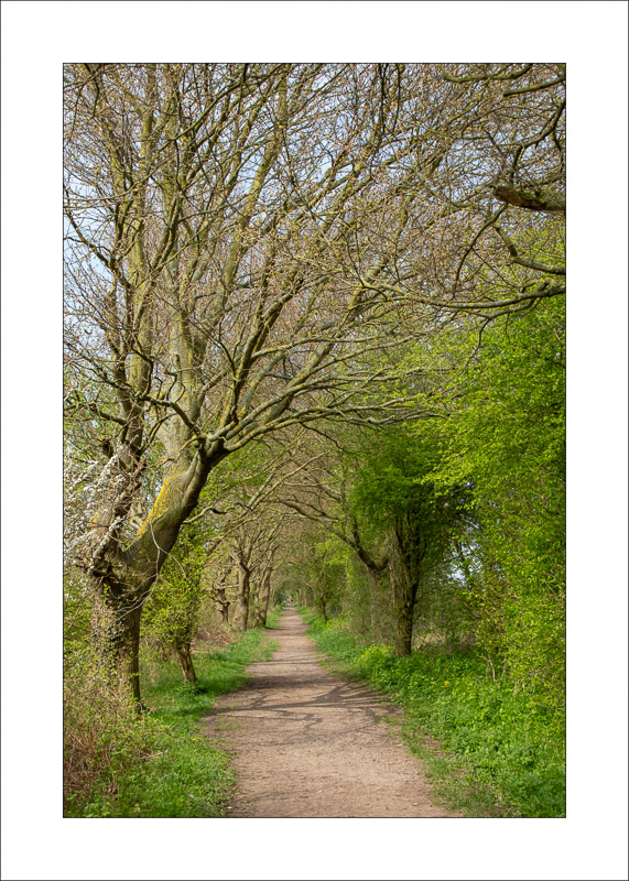  - Southwell Trail in Spring and Summer