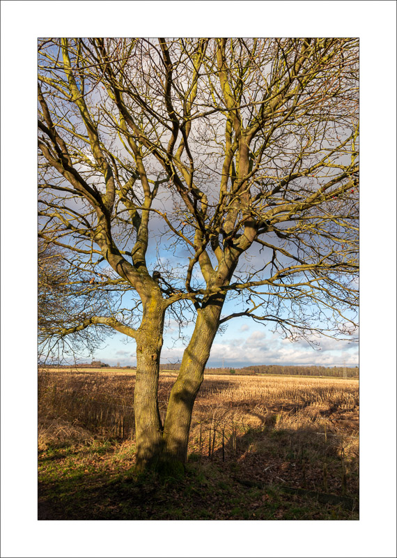  - Southwell Trail in Winter