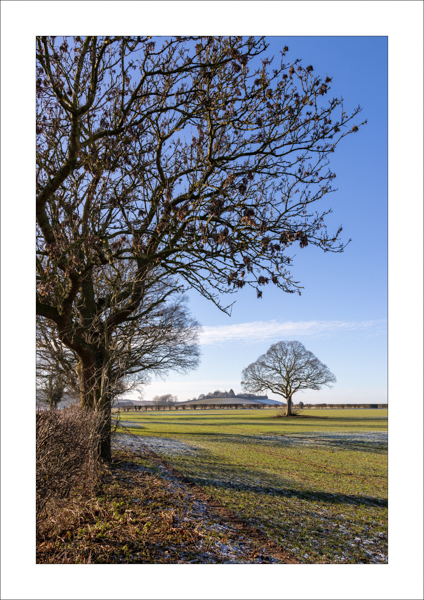  - Photography Review 2025