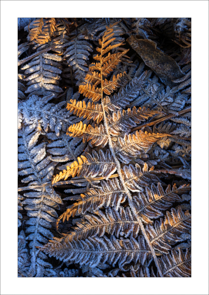  - Photography Review 2025