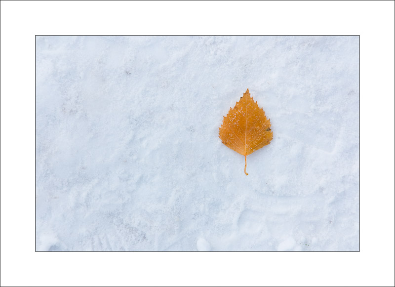  - Southwell Trail in Winter