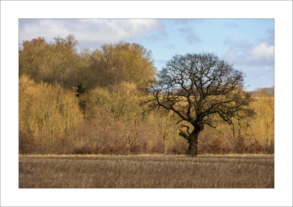  - Photography Review 2025