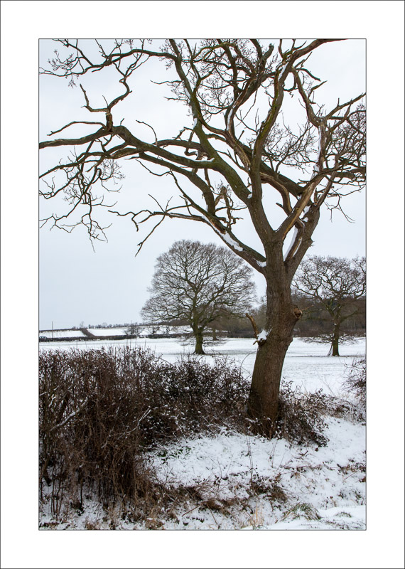  - Southwell Trail in Winter