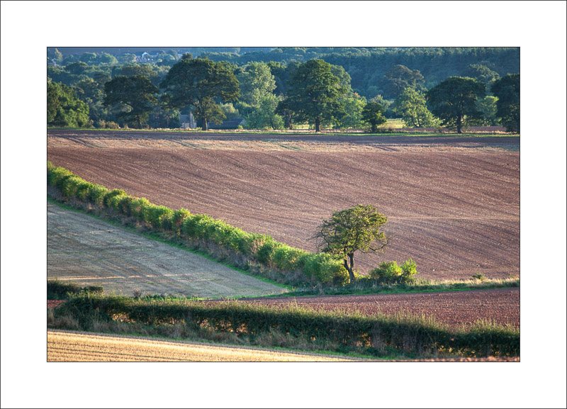  - Robin Hood Hill