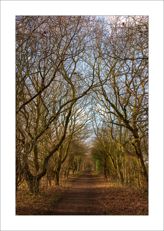  - Southwell Trail in Winter