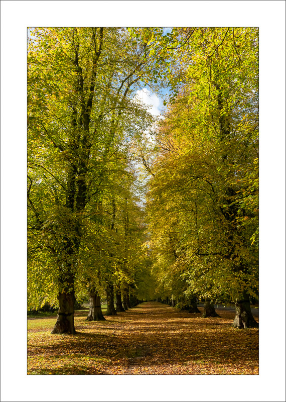  - Clumber Park