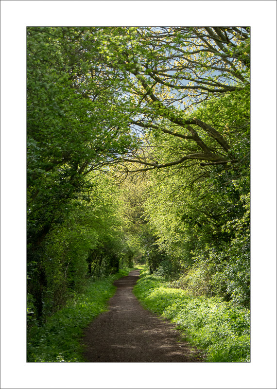  - Southwell Trail in Spring and Summer