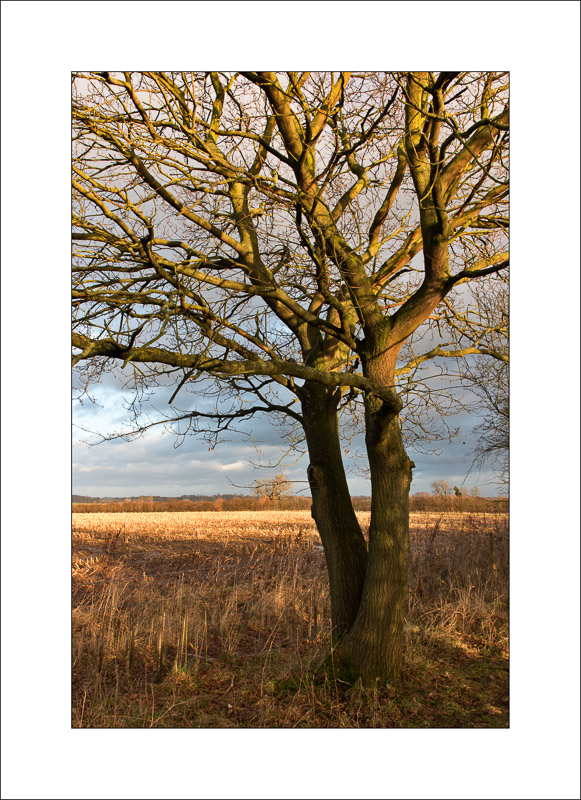  - Southwell Trail in Winter