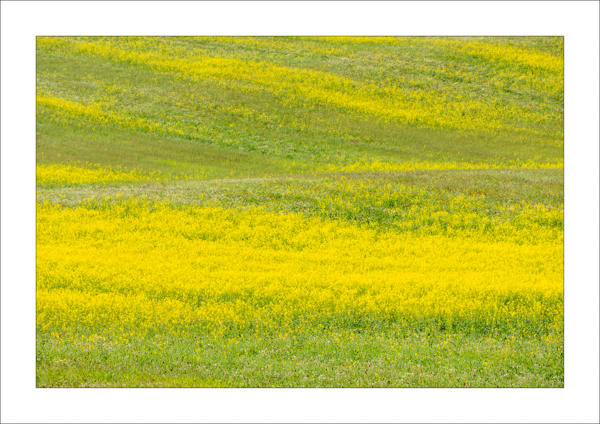  - Photography Review 2025