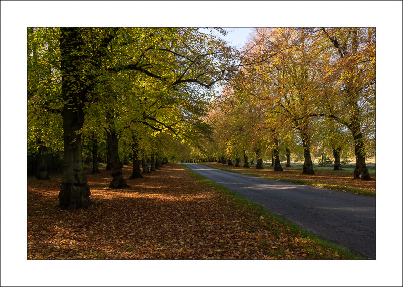  - Clumber Park