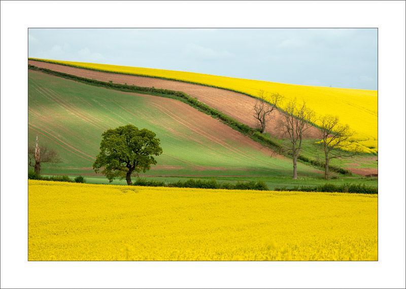  - Robin Hood Hill