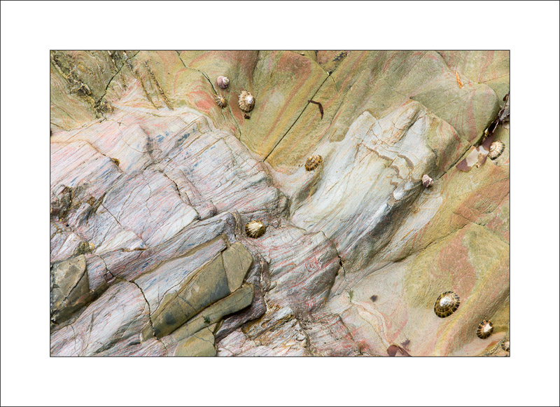  - Rock Studies - Cornwall 2