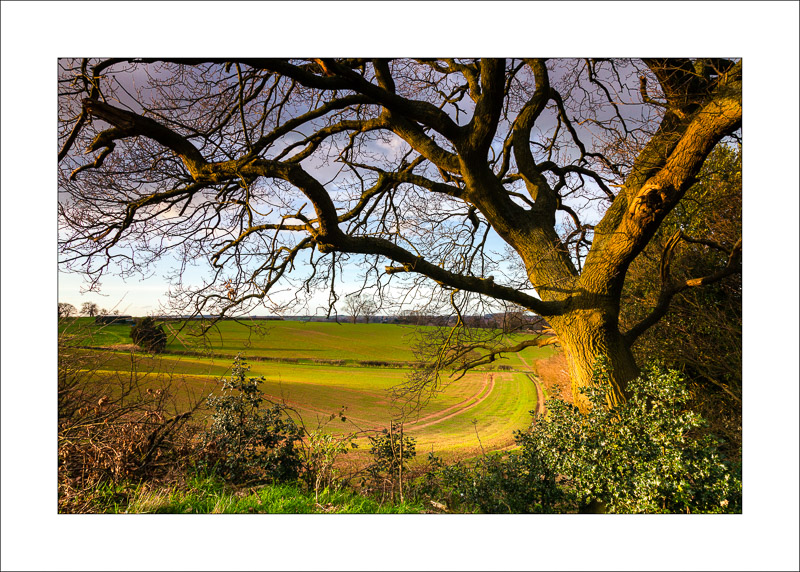  - Farnsfield