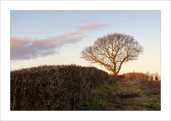  - Photography Review 2025