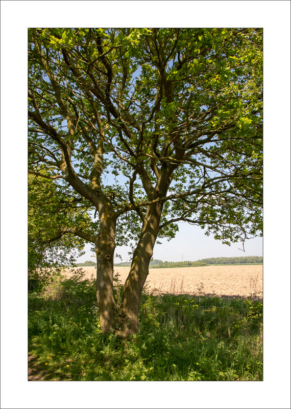 - Southwell Trail in Spring and Summer