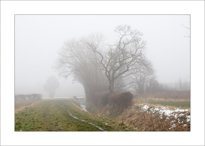  - Southwell Trail in Winter