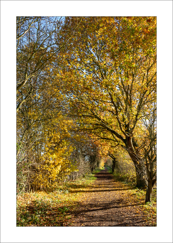  - Southwell Trail in Autumn