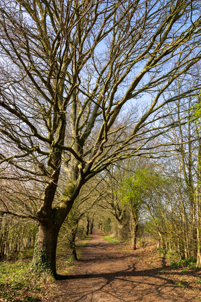  - Photography Review 2025