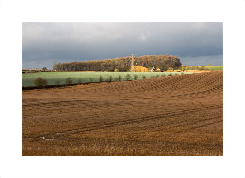  - Southwell Trail in Winter
