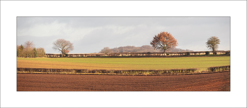 - Southwell Trail in Winter