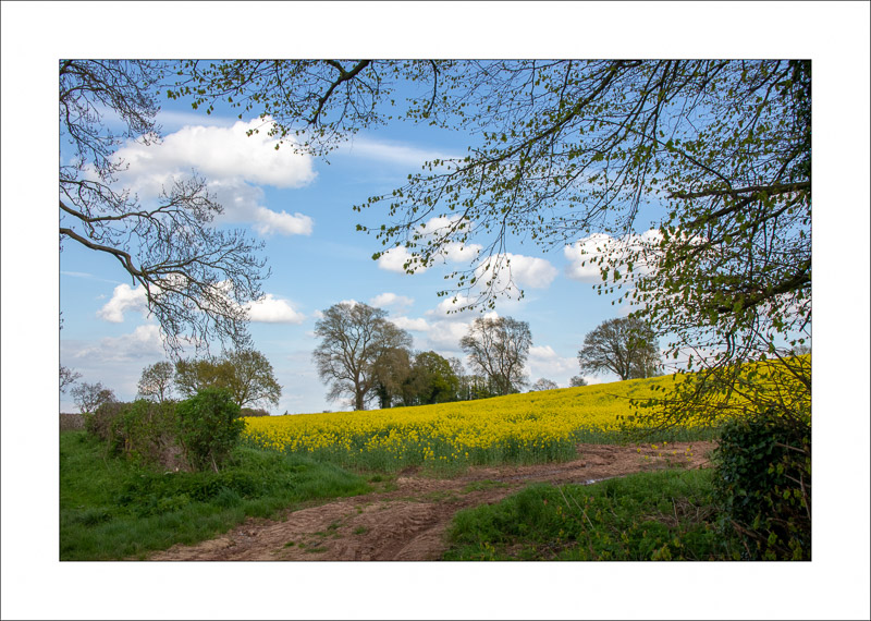  - Farnsfield