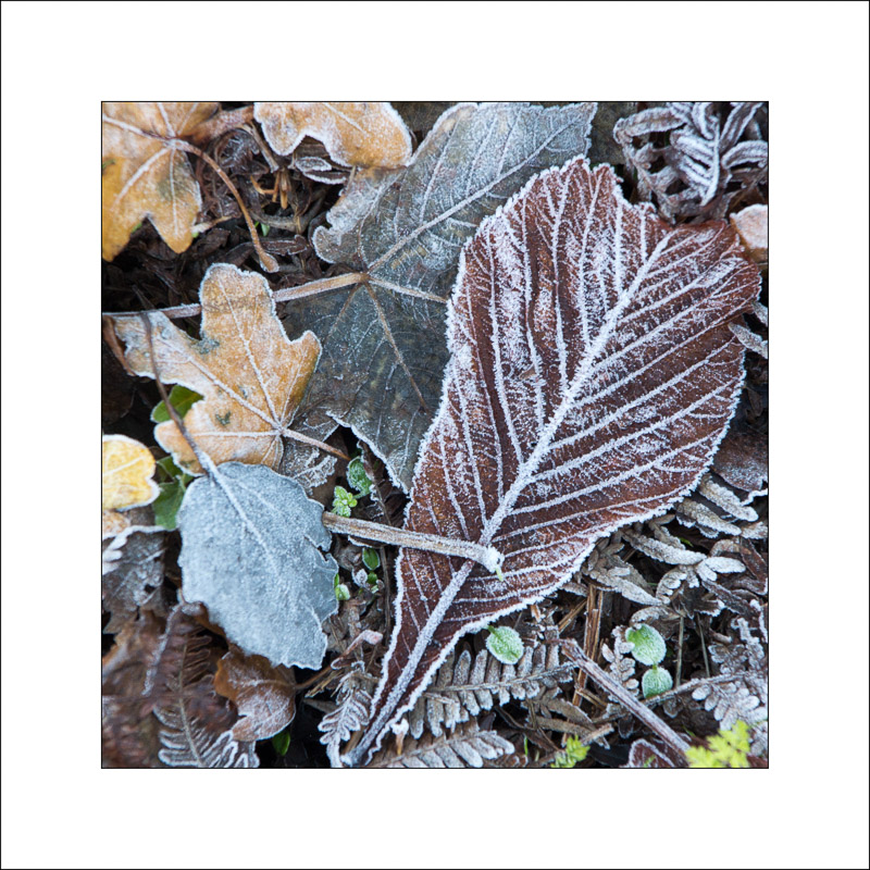  - Southwell Trail in Winter
