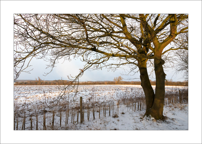  - Southwell Trail in Winter