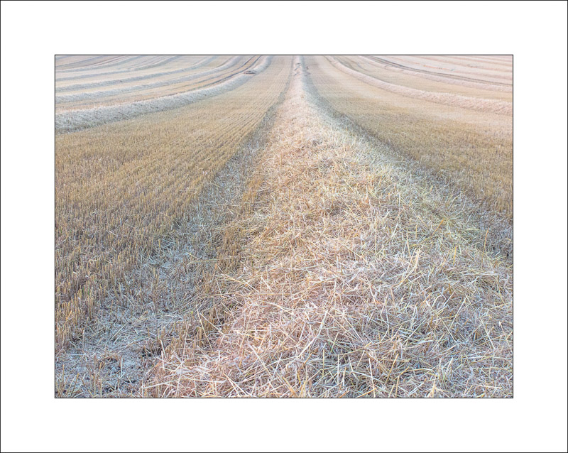  - Land and Sky