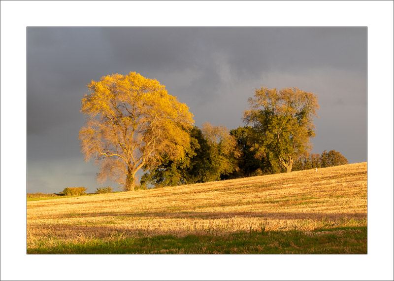  - Farnsfield