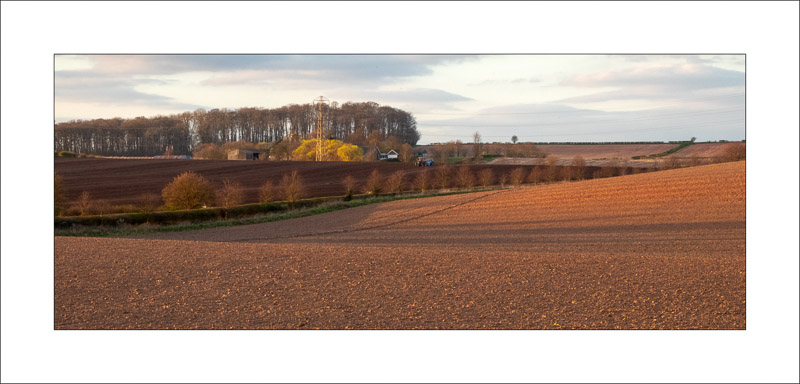  - Southwell Trail in Winter
