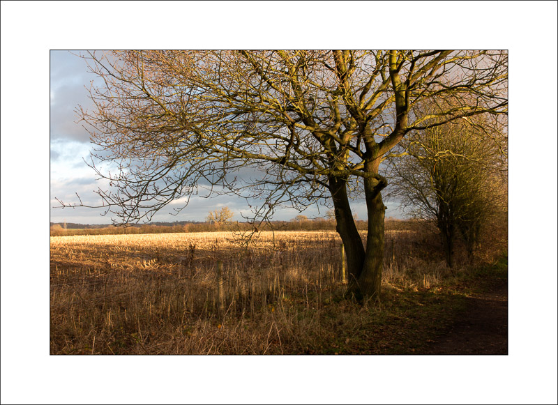  - Southwell Trail in Winter