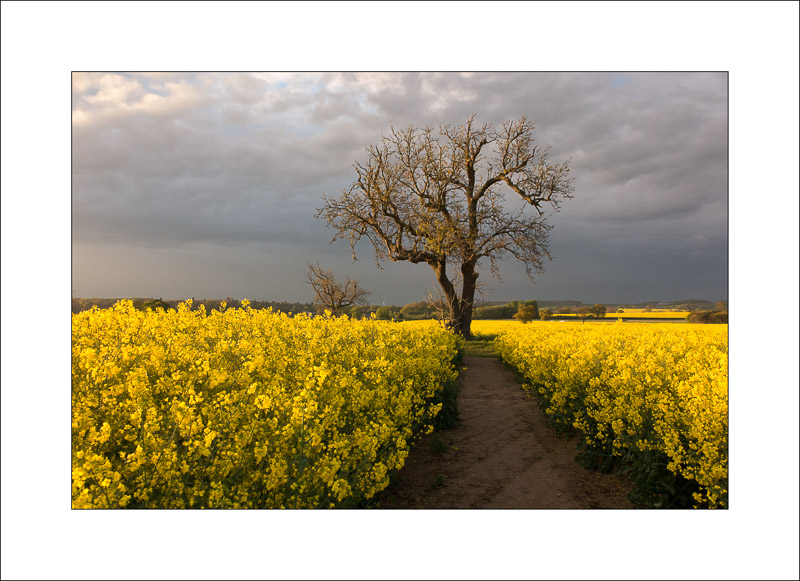  - Southwell Trail in Spring and Summer